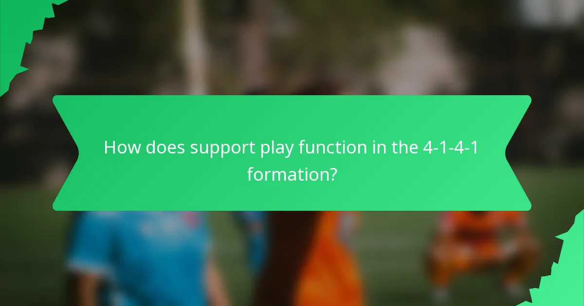How does support play function in the 4-1-4-1 formation?